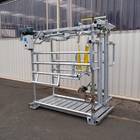 Klauenpflegestand Standard